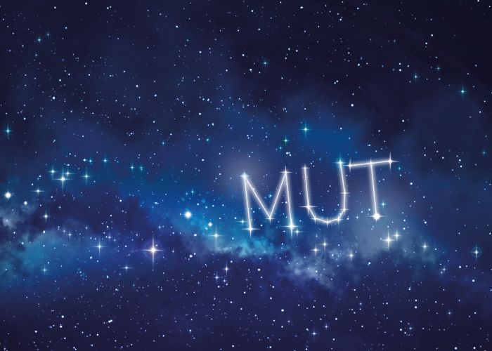 Mut Mut