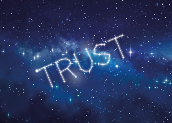 Trust Trust
